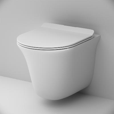 Унитаз подвесной AM.PM Force C9F1700LMSC безободковый с сиденьем микролифт, белый