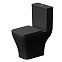 Унитаз-компакт напольный AM.PM Struktura C9S8600MBSC с сиденьем микролифт, черный матовый