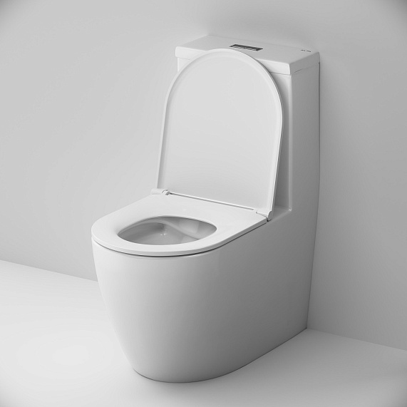 Унитаз напольный AM.PM Func C8F8900SC безободковый с сиденьем микролифт, белый-4