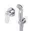 Гигиенический душ со смесителем AM.PM Sunny F40H85C00 хром встраиваемый, шланг 1200, держатель
