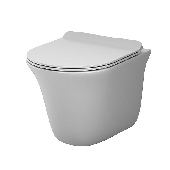 Унитаз подвесной AM.PM Force C9F1700LMSC безободковый с сиденьем микролифт, белый-11