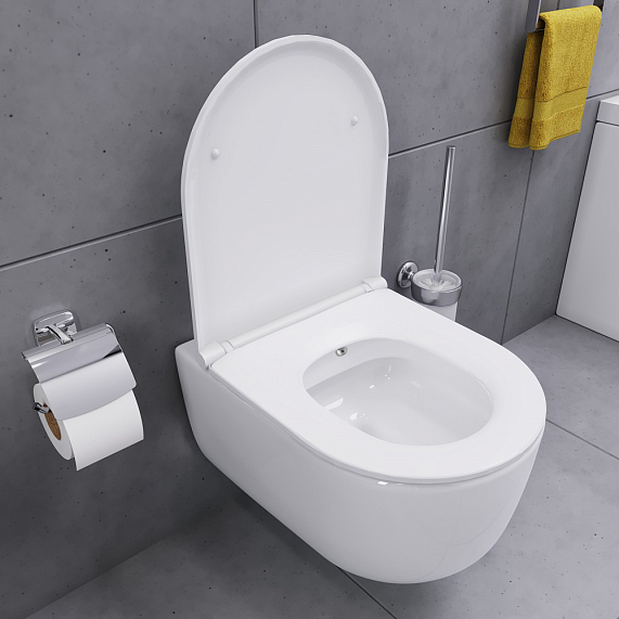 Унитаз подвесной Damixa Sirius DX86C1800SC безободковый с приставкой ...