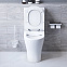 Унитаз напольный Damixa Sirius DX86C8600SC безободковый с сиденьем микролифт