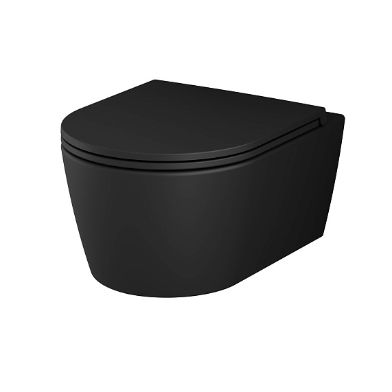 Унитаз подвесной AM.PM Func C8F1700MBSC безободковый с сиденьем микролифт, черный матовый-10