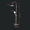 Душевая система AM.PM X-Joy F0785A444 стойка с тропическим душем, термостатом, смесителем, розовое золото